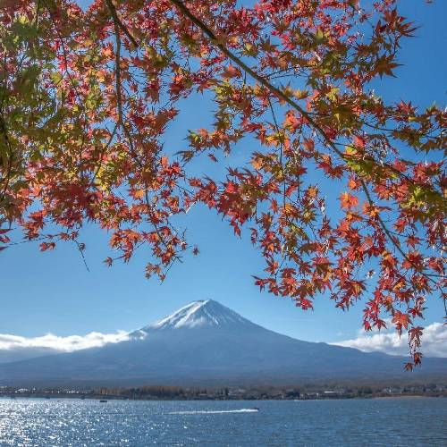  اون وسط جا منم خالی کنید برامن بد با مدل مو تایسونی